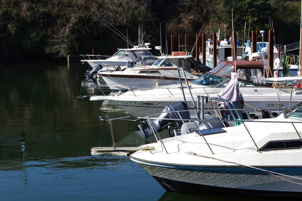 Marina Rıhtımında Bağlı Motorlu Tekneler Ağaçlarla Kayıyor — Stok fotoğraf