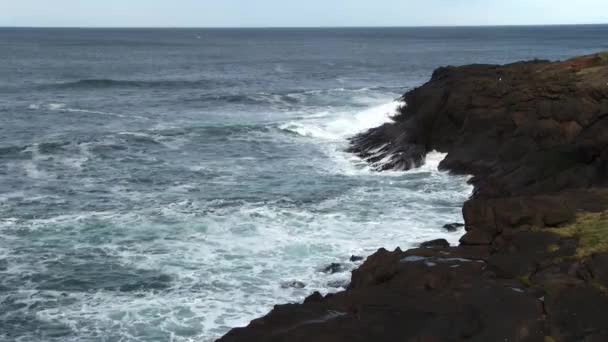 Ocean Waves Ütő Vulkanikus Szikla Szikla Madarakkal Depoe Bay Oregon — Stock videók