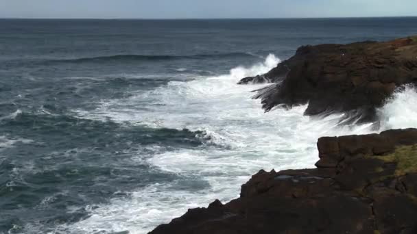 Ocean Waves Ütő Vulkanikus Szikla Szikla Madarakkal Depoe Bay Oregon — Stock videók
