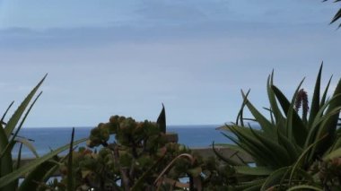 Mavi Gökyüzü Beyaz Bulutlu Santa Monica California Bitkilerinden Uzaklaş