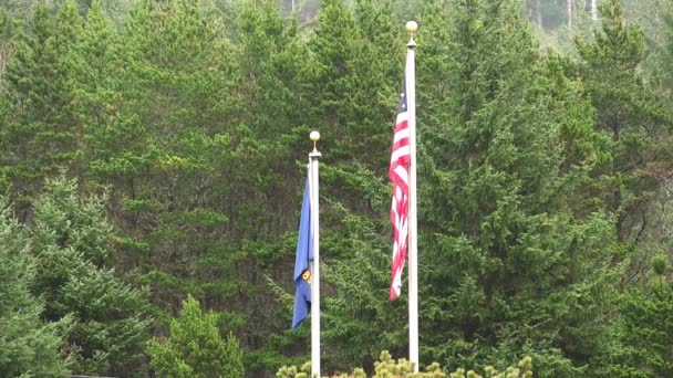 Usa Oregon Flag Hængende Halte Flagstang Regn Med Grønne Træer – Stock-video