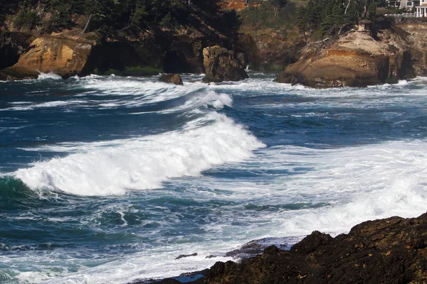 Океанский Серфинг Приходит Бухту Криками Деревьями Ломающими Волны — стоковое фото