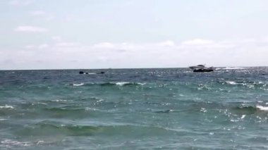 Mavi Gök ve Beyaz Bulutlar Altında Santa Monica açıklarında taşınan El Fotoğrafı