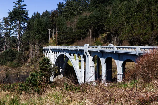 Betonbrücke Über Schlucht Mit Bögen Unter Bäumen Und Telefonmasten Hintergrund — Stockfoto