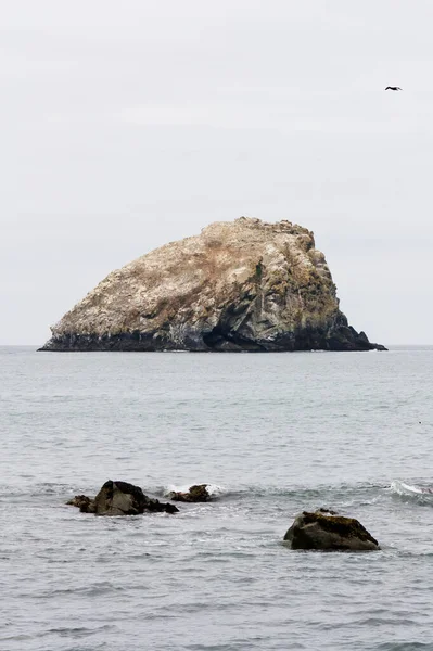 ロックとオーバーキャストスカイを持つオレゴン海岸沖のオーシャンビュー — ストック写真