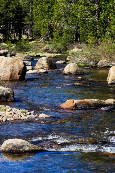 ヨセミテ国立公園岩や木のあるカメラから流れるカリフォルニアマーセド川 — ストック写真
