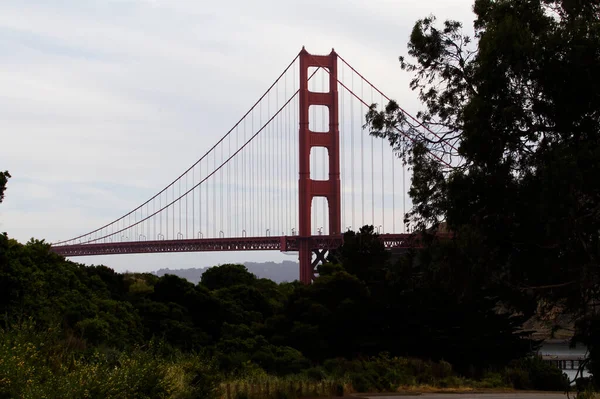 Noordelijke Toren Van Golden Gate Bruid Omlijst Door Groene Bomen — Stockfoto