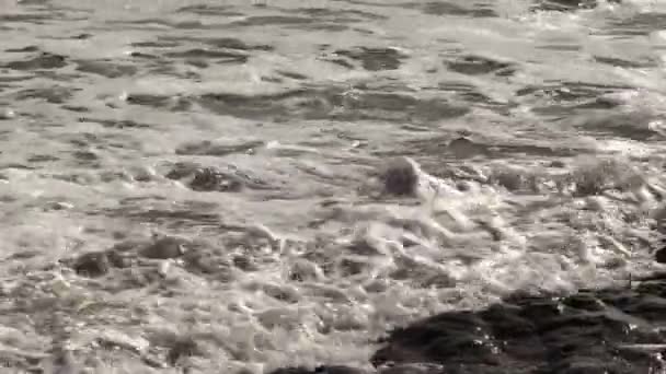 Tight Shot Ocean Waves Moving Rocky Beach Marin California — Stock Video