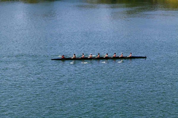 Women Crew Team Ćwiczy Jeziorze Folsom Lake Ciągnąc Wiosła Razem — Zdjęcie stockowe