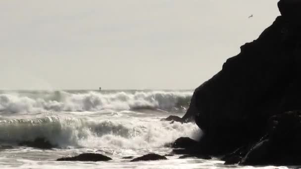 以浮标为背景的加利福尼亚竞技海滩粗浪拍打船头 — 图库视频影像