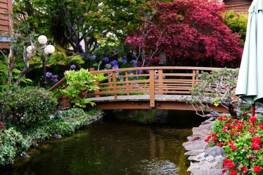 Bir sürü bitki ve ağaçla çevrili büyük bir Pone üzerinde uzanan eğri ahşap köprü.