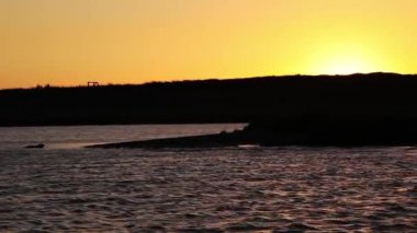 Gölgeli Tepeleri olan Rogue Nehri Batan Güneş ve Uzaktaki Kıyı 'ya Gelen Mühürler