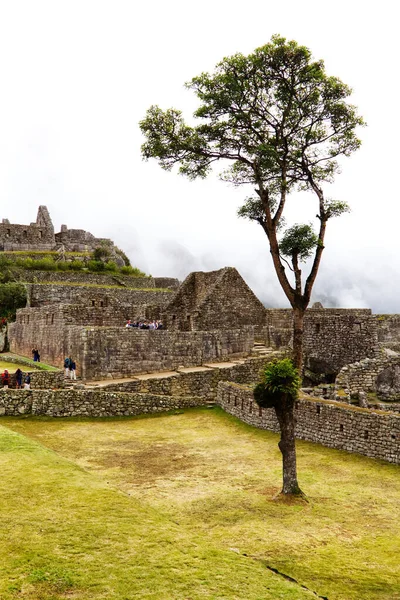 Turistas Explorando Paredes Pedra Machu Picchu Com Grama Verde Árvore — Fotografia de Stock