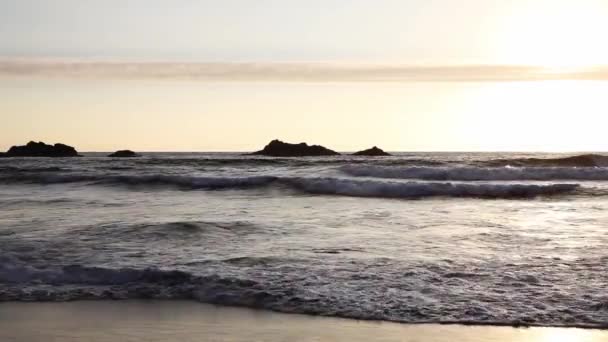 실루엣 해안과 해변과 — 비디오