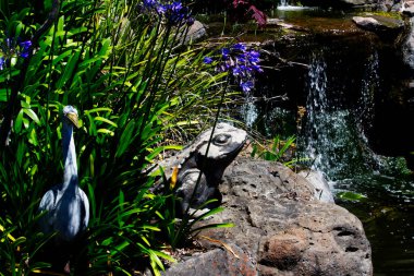 Kurbağa ve Kuş Süslemesi Çeşme suyu çağlayarak akan havuzun yakınındaki bitkilerin arasında