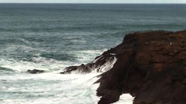 Meereswellen Treffen Vulkanisches Gestein Der Küste Der Depoe Bay Oregon — Stockvideo