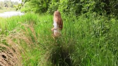 Beyaz taytlı genç beyaz kadın nehir kıyısında ağaçlarla uzun yeşil çimlerde duruyor.