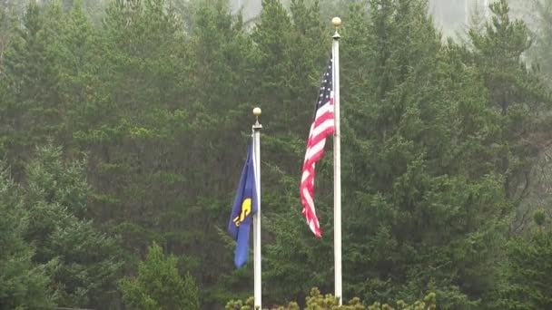 Bandera Estados Unidos Oregón Ondeando Implícito Lluvia Con Árboles Verdes — Vídeos de Stock