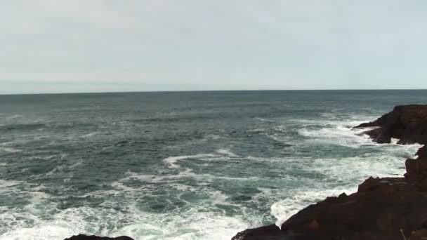 Gentle Waves Surging Lava Rock Cliffs Depoe Bay 오레곤 White — 비디오