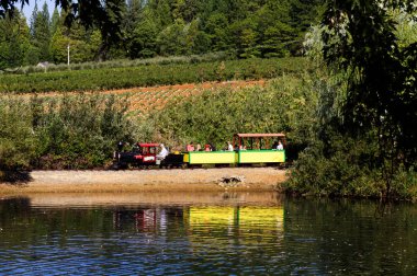 Kuzey Kaliforniya 'daki Camino Çiftliği' nde Küçük Göl 'de Küçük Trenle Dolaşan İnsanlar