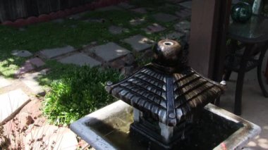 Yabanarısı ve Arı etrafta uçar ve arka bahçedeki çeşmeden su içerler.