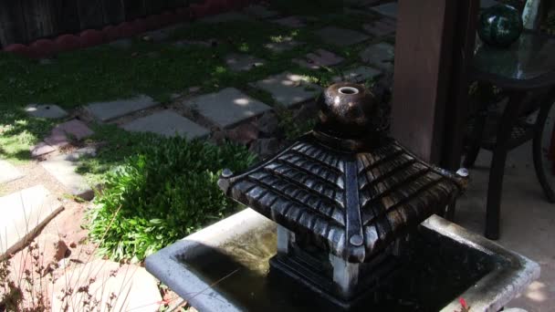 ワスプとビーが飛び回って 屋外の裏庭水噴水から飲む — ストック動画