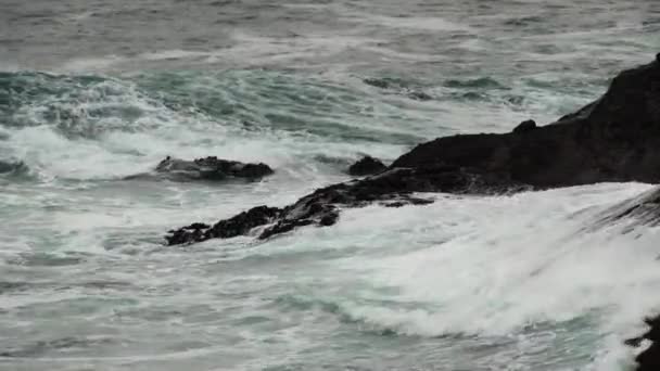 Enger Schuss Von Ozeanwellen Kracht Vulkanisches Gestein Depoe Bay Oregon — Stockvideo