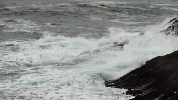 Enger Schuss Von Ozeanwellen Kracht Vulkanisches Gestein Depoe Bay Oregon — Stockvideo