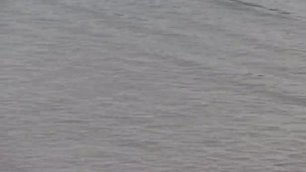浅海波浪扫荡在俄勒冈州新港沙滩上的镜头 — 图库视频影像