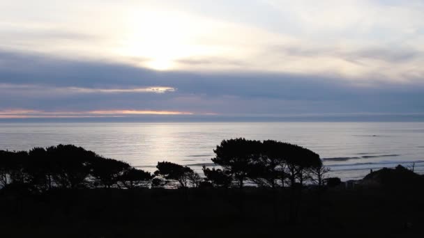 Akşam Okyanusu Önplanda Bulutlu Gökyüzü Siluetli Ağaçlar — Stok video