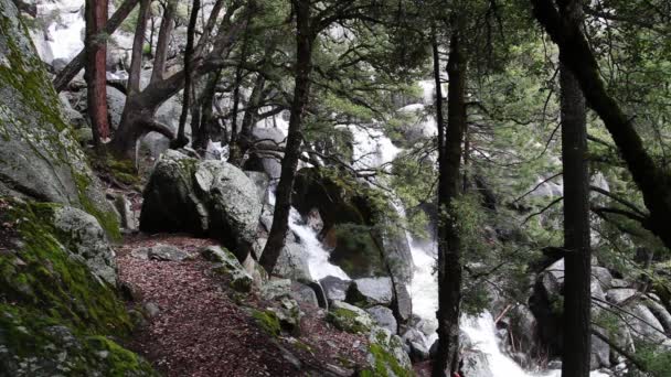 木と岩でカリフォルニア州チルナットトレイルヨセミテ国立公園から見た滝カスケードダウン — ストック動画