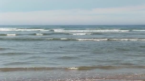 蓝天白云下的沙滩上的海浪俄勒冈州新港 — 图库视频影像