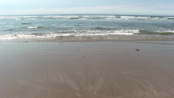 蓝天白云下的沙滩上海浪低视俄勒冈州新港 — 图库视频影像