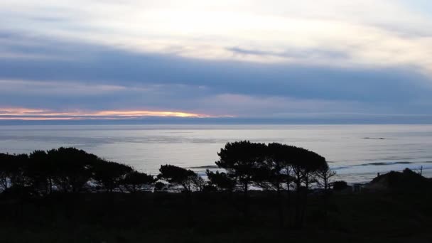 Sakin Okyanus Manzarası Bulutlu Gökyüzü Siluet Ağaçları Newport Oregon — Stok video
