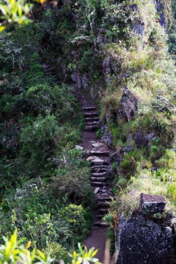 Machu Picchu Peru Güney Amerika Toprak ve Taştan Dağ Yolu 