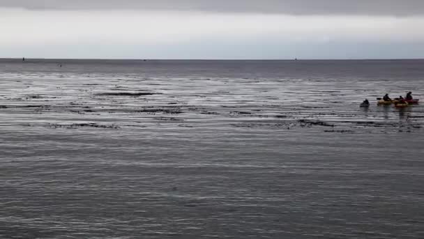 Kajaker Och Paddla Ombord Monterey Bay Overcast Day Seaweed — Stockvideo