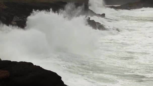 Wellen Steigen Auf Black Volcanic Rock Shore Depoe Bay Oregon — Stockvideo