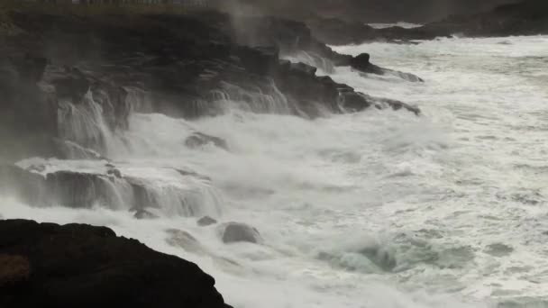 Wellen Steigen Auf Black Volcanic Rock Shore Depoe Bay Oregon — Stockvideo