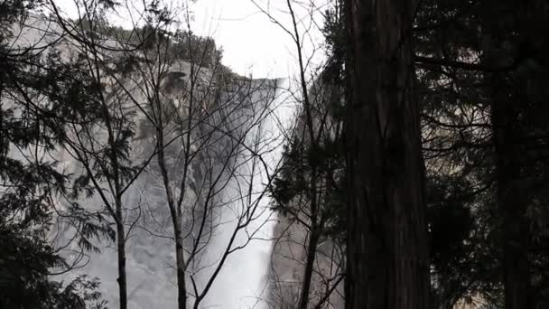 カメラの傾いたダウンが付いている木を通して公正に閉じる木からの花嫁のベールの滝の手持ち型のショット — ストック動画