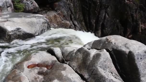 Handheld Pan Přes Řeku Spěchající Přes Skály Přes Ledge Yosemite Royalty Free Stock Video