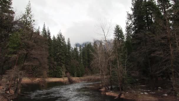 Merced River Yosemite Flowing Camera Winter Bare Trees Some Snow — Stock video