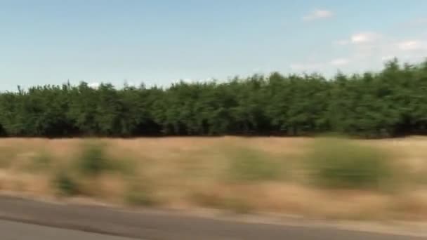 Handheld Shot Moving Car Green Orchard Trees Grass Side Road Royalty Free Stock Záběr