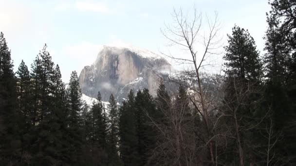 Половина Купола Хмарами Деревами Босоніж Зелений Йосеміті Національний Парк Каліфорнія — стокове відео