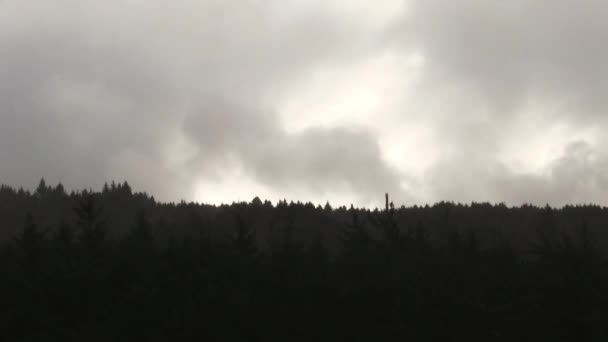 Rychle Pohybující Mraky Nad Korunami Stromů Depoe Bay Oregon Royalty Free Stock Záběr