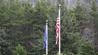 Oregon Eyaleti ve ABD Bayrağı Oregon Körfezi 'nde yeşil ağaçlar altında sallanıyor