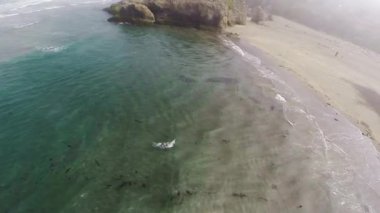 Okyanus Dalgaları ve Kum Kumsalı üzerinden İHA uçuşu Kuzey Kaliforniya