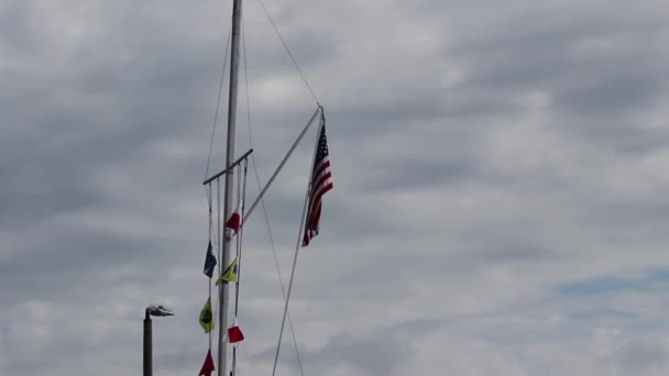 Amerikanische Und Nautische Flaggen Hängen Fahnenmast Vor Bedecktem Himmel Monterey Lizenzfreies Stock-Filmmaterial