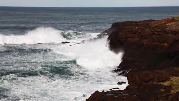 Meereswellen Krachen Gegen Rotes Vulkangestein Der Küste Der Depoe Bay Stockvideo