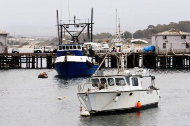 Mavi ve Beyaz balıkçı tekneleri Monterey körfezi yakınlarındaki şamandıralara demirli Gökyüzü Bulutlu
