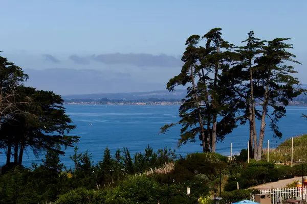 サンタクルーズリゾートから海の眺め 遠くの海岸と建物の木々を通して ストックフォト